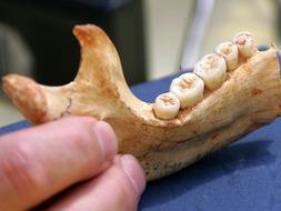 Los arqueólogos buscan nuevos restos en la sierra de Atapuerca