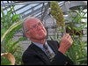 El científico, doctor en patología vegetal y premio Nobel de la Paz en 1970, Norman Ernest Borlaug. / Archivo