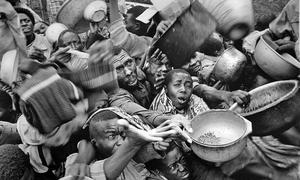 ONU:«Este año tenemos más personas hambrientas que nunca»