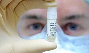 Seis meses después, ¿quién teme a la gripe A?