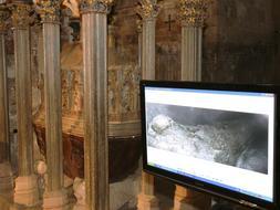 En busca del ADN catalán