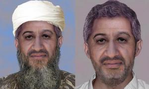 IU pide explicaciones a la embajada de EE.UU. por la foto de Bin Laden con el pelo de Llamazares
