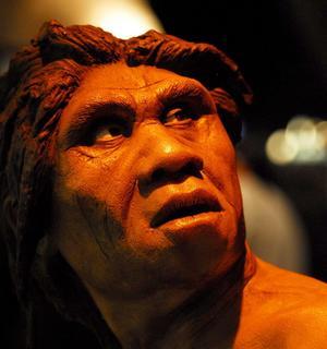 Los neandertales no convivieron con el homo sapiens en la Península