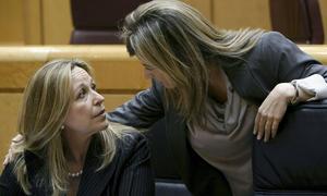 El Senado aprueba dos mociones contra la subida del IVA