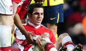 Cesc estará seis semanas de baja