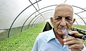 Muere Alejandro Robaina, el productor de puros más famoso de Cuba