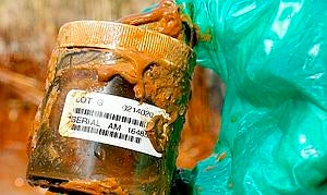 La marea negra penetra en las marismas del Delta del Misisipi