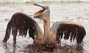 Obama exige a BP que atienda al vertido antes que a su publicidad