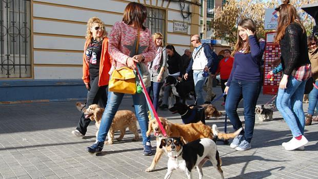 Marcha canina por el centro de Dos Hermanas