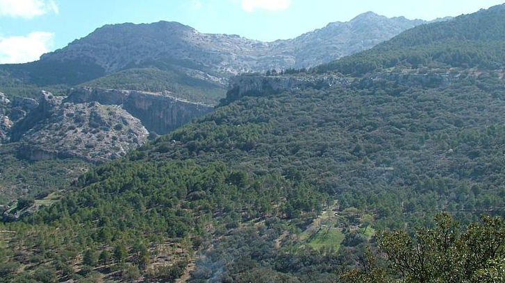 Paraje de Peal de Becerro.