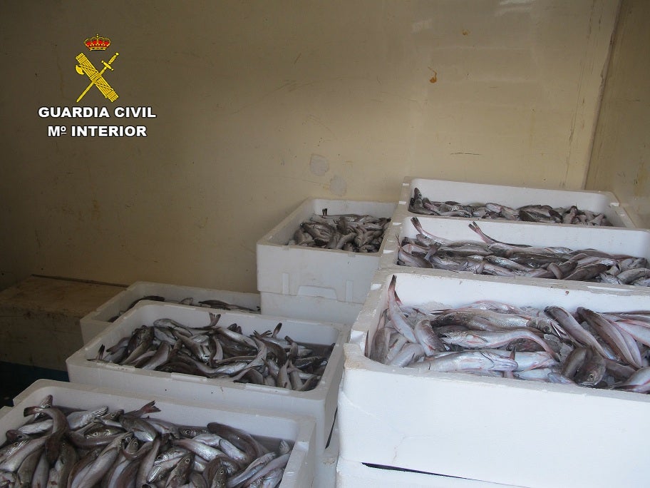 Varias cajas con el pescado intervenido