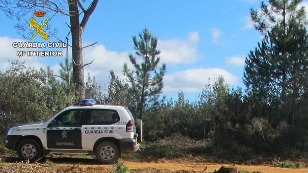 Un vehículo de la Guardia Civil en la zona