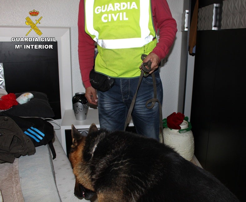 Un agente con el perro que localizó la droga