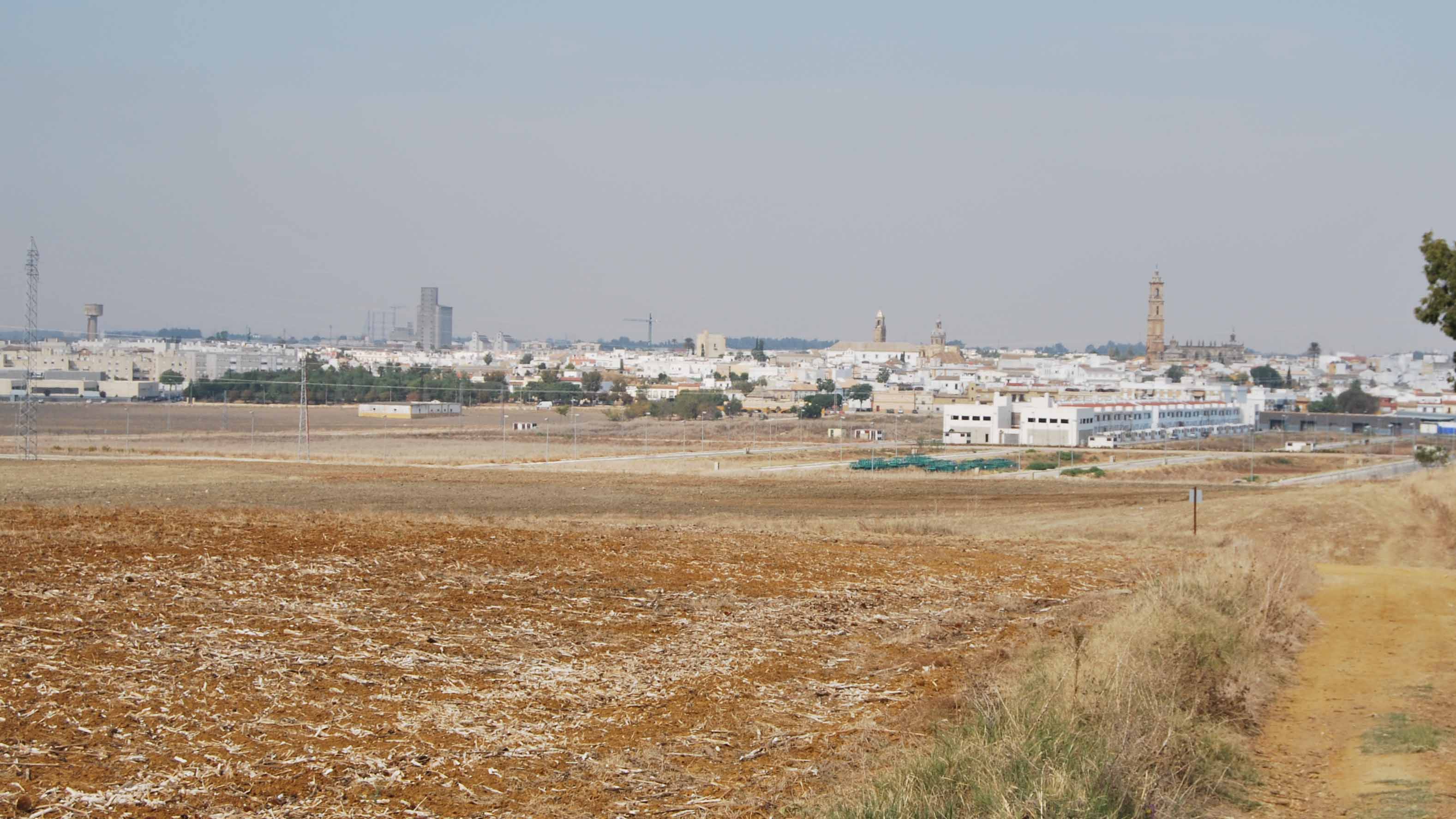 El paro ha descendido en Utrera menos que en toda la provincia