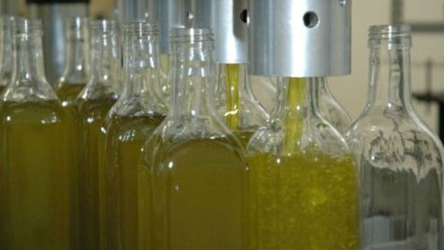 Proceso de envasado de aceite de oliva.