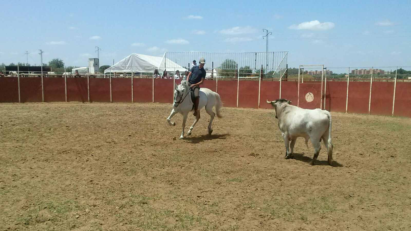 Los alumnos disfrutaron de una jornada inolvidable