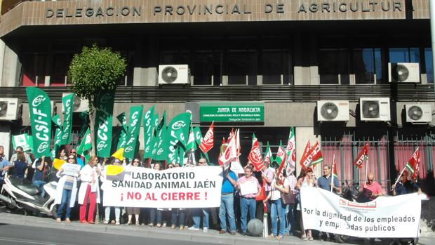 Concentración de CSIF a las puertas de la delegación provincial de agricultura de Jaén