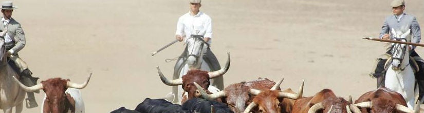 El Sábado 17 septiembre, podrán disfrutar del espectáculo 'A campo abierto