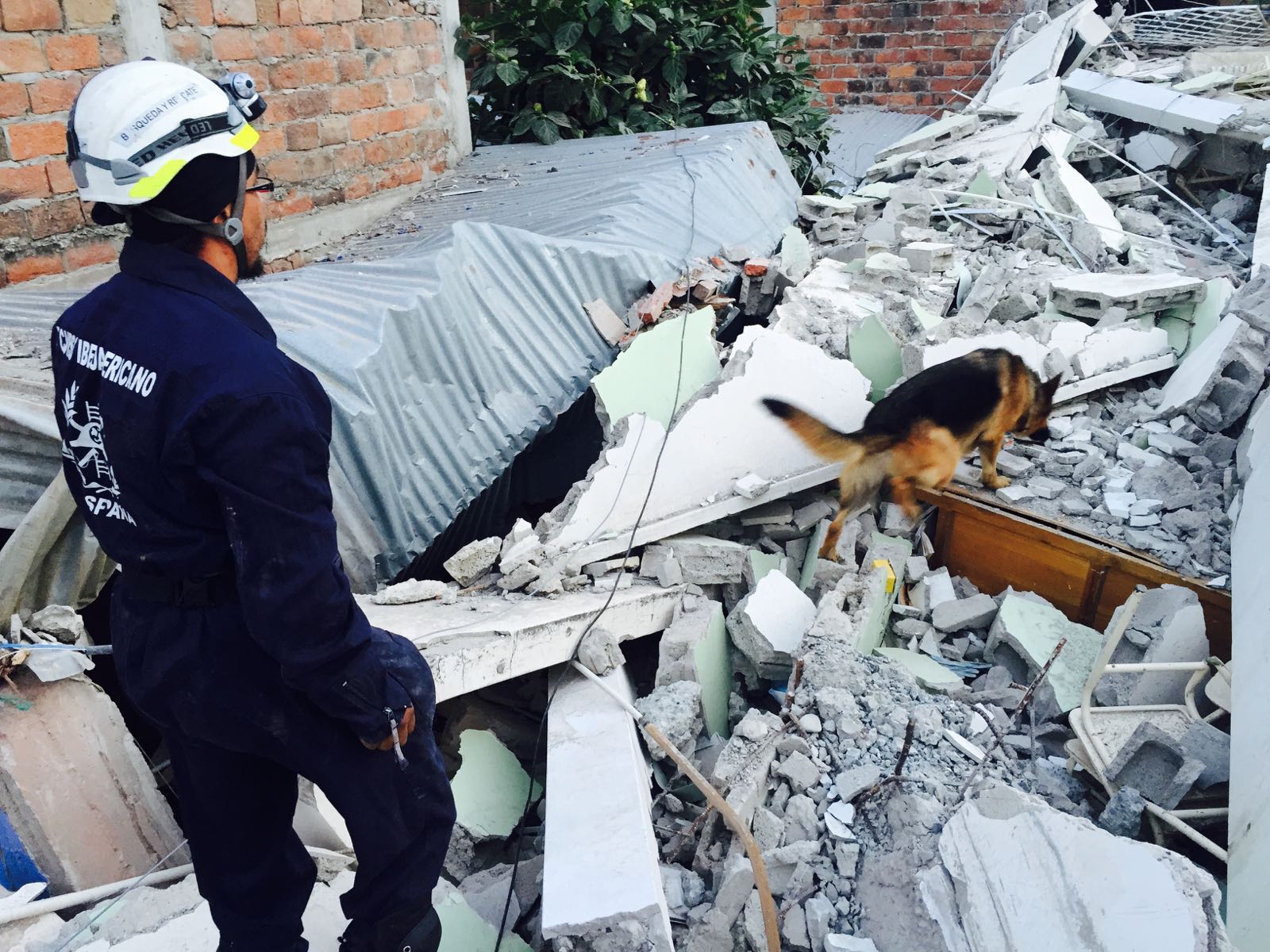 Un bombero durante un rescate con uno de los perros del servicio