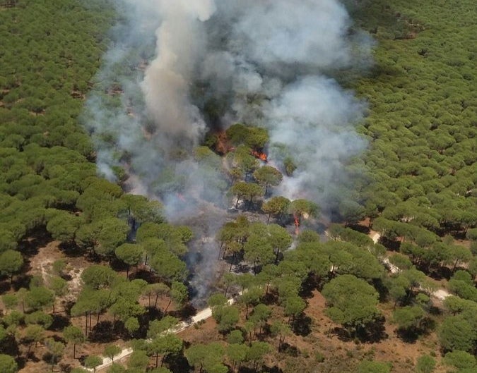 Vista aérea de la zona del fuego en el término de Almonte