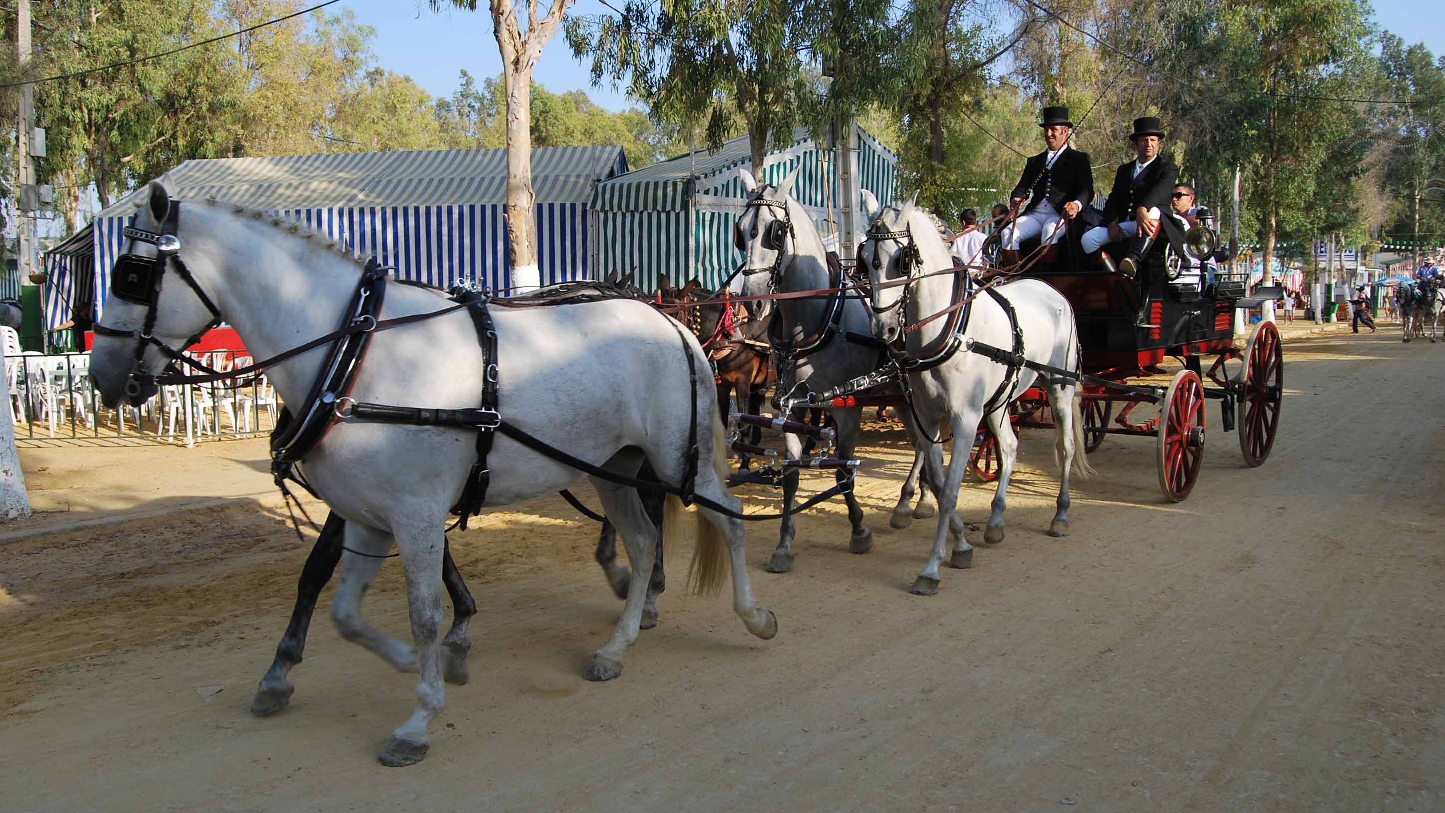 El mundo del caballo brilla con todo su esplendor en Utrera