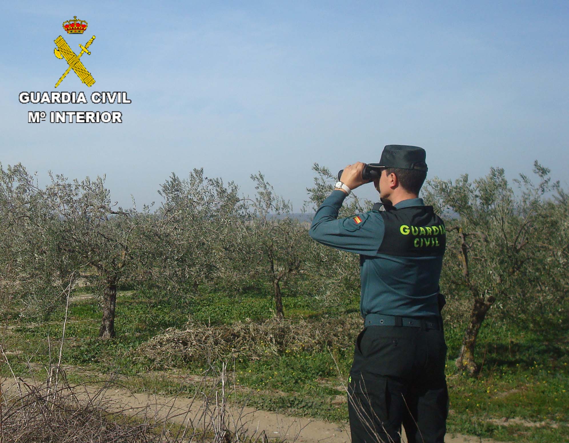 Un guardia vigila una finca agrícola