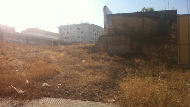 El entorno del centro de salud Virgen de la Oliva acumula basura y pastos/ABC