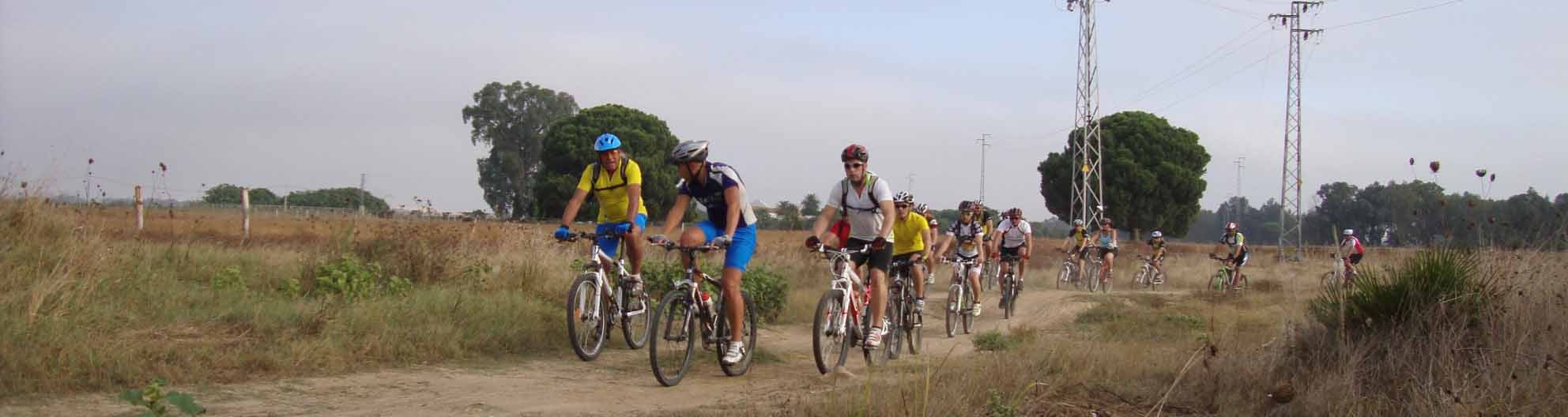 Las rutas sirven para descubrir el campo utrerano/ J.L.