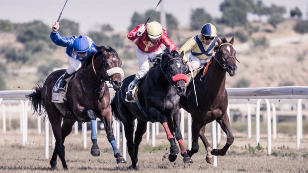 Carreras de caballos