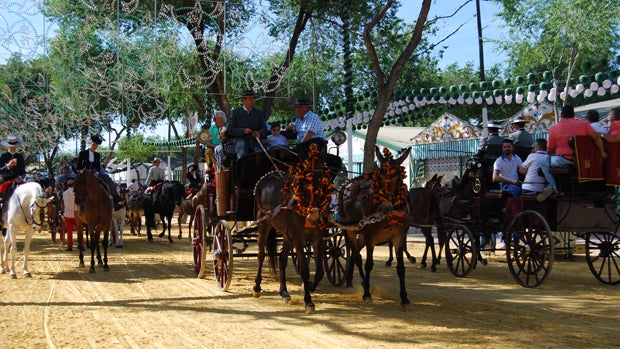 Paseo de coches de caballos en la feria