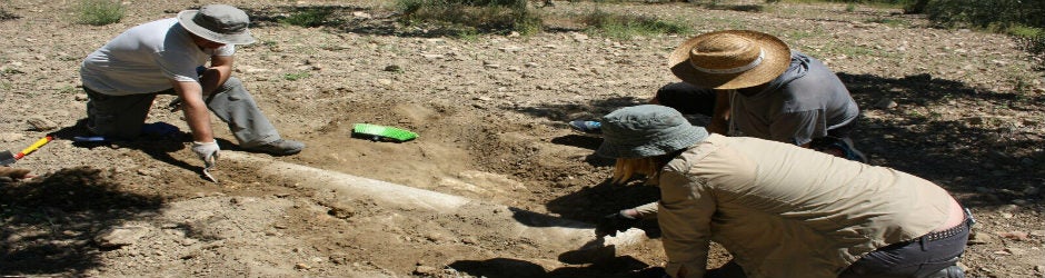 La pieza ha sido descubierta en las inmediaciones de La Peñuela