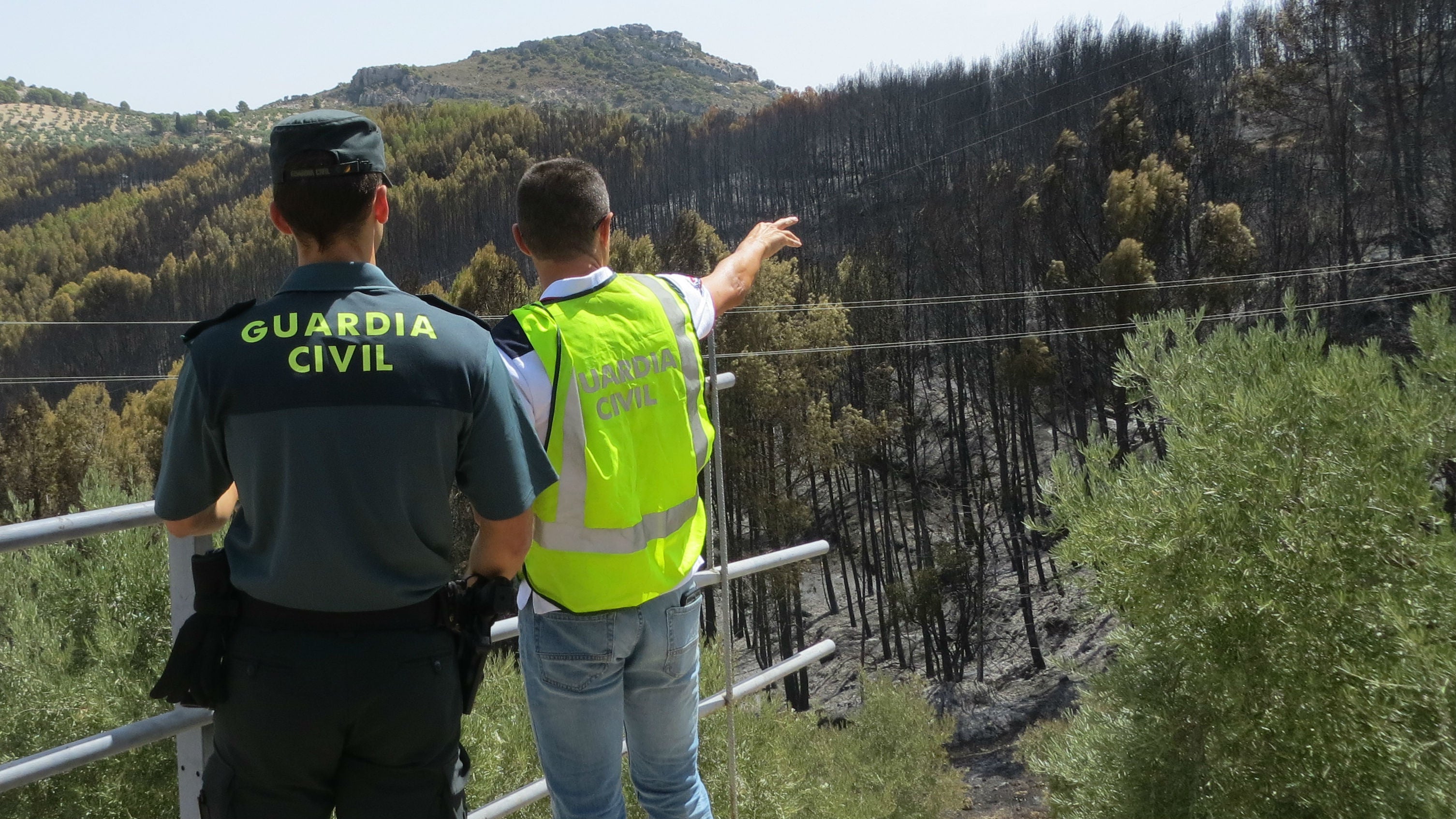 Investigan a un menor de edad como presunto autor del incendio forestal de Jaén