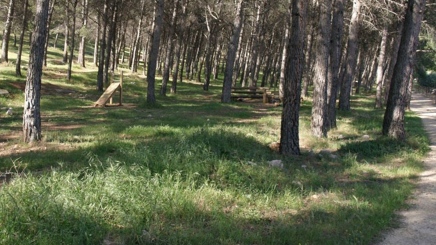 Motos sin matrícula causan destrozos en la zona forestal más emblemática de Jaén