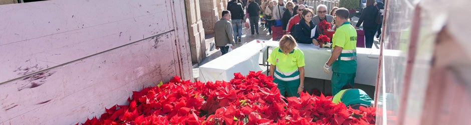 Reparto de pascueros en Puerta de Purchena