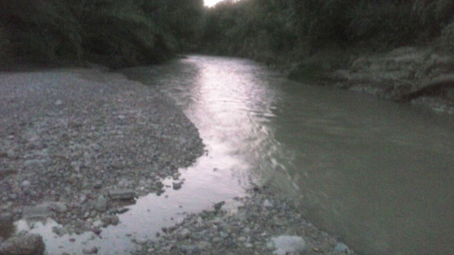 La extracción excesiva de agua provocó la mortandad de peces en el Guadalbullón