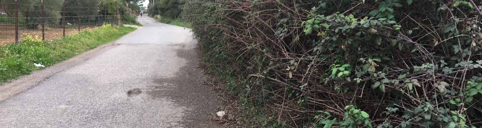 El camino de Utrera a Alcalá se encuentra en pésimas condiciones