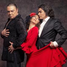 Flamenco Madrid, con «M» de mujer