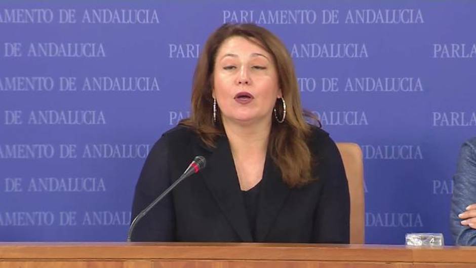 PP-A recuerda que es el partido que pide la reforma fiscal