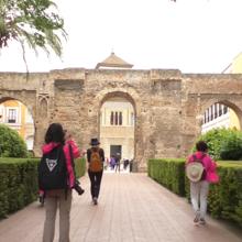 Patio del León del Alcázar de Sevilla