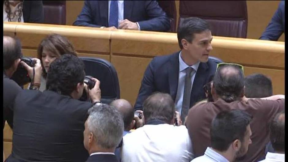 Pedro Sánchez tiende la mano al PP en su primera sesión de control al Gobierno en el Senado