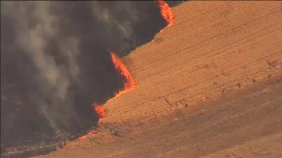 Un muerto y decenas de evacuados en un incendio que ha arrasado unos campos de cultivo en Oregon