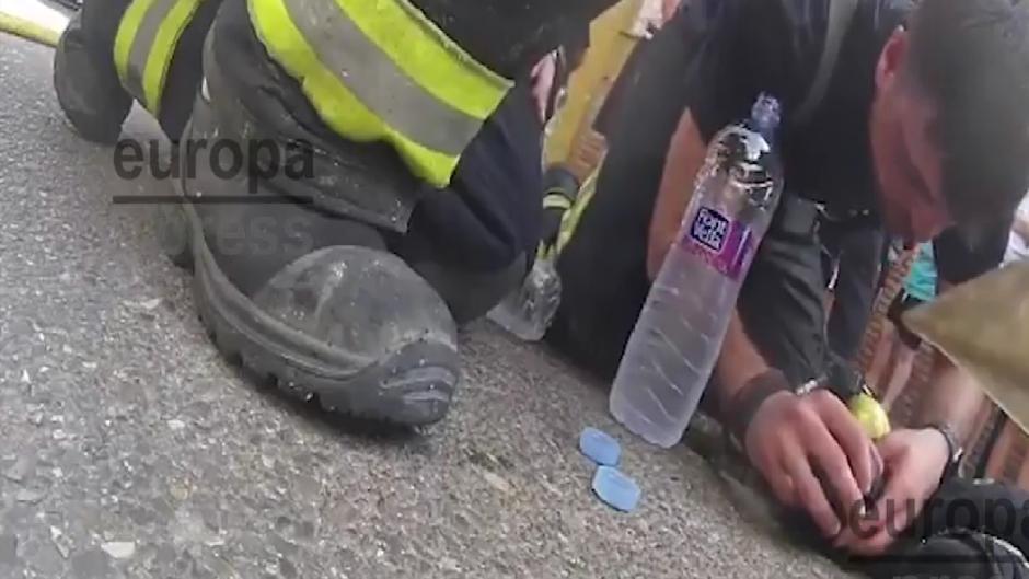 Vídeo: los Bomberos de Córdoba salvan la vida de un perro a punto de morir asfixiado en un incendio