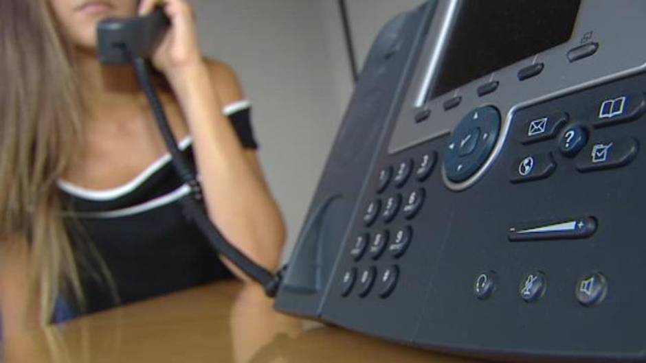 A la venta un león disecado por 6.000 euros