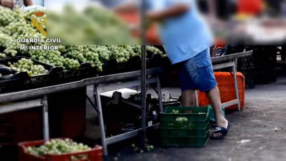 Desarticulada una banda de ladrones de fruta