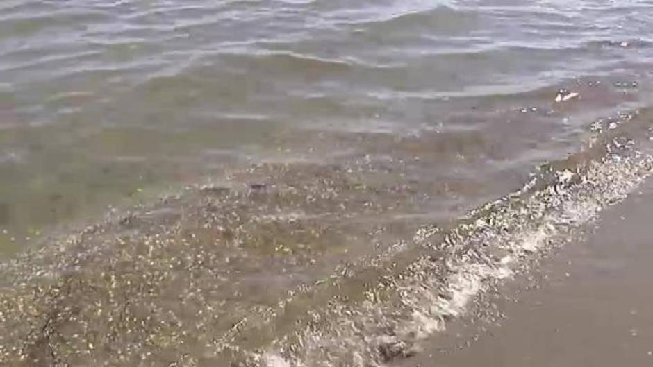 Las aguas del Mar Menor vuelven a ser transparentes