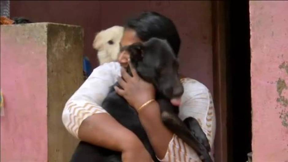 Trágico resultado de las fuertes inundaciones que han anegado el suroeste de la India