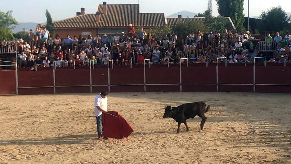 Entretenida becerrada en Menasalbas