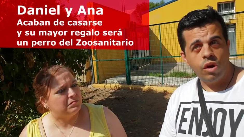 Adopta en el Zoosanitario de Sevilla