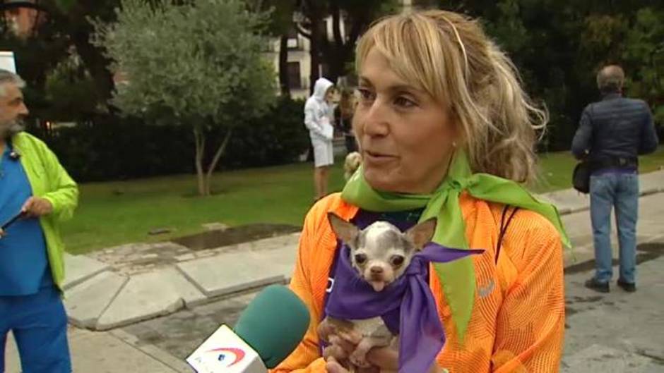 Perros grandes y pequeños corren junto a sus dueños en la séptima edición del Perrotón