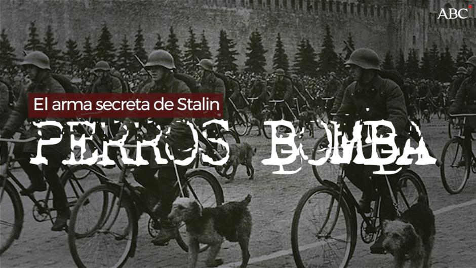 Los perros-bomba, el arma secreta de Stalin